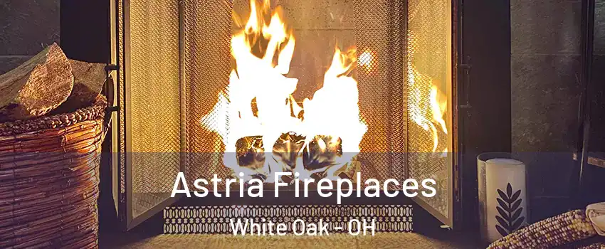  Astria Fireplaces White Oak - OH