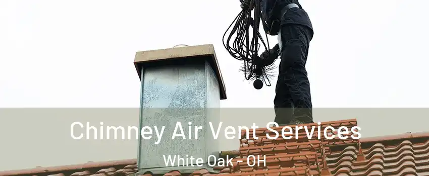  Chimney Air Vent Services White Oak - OH