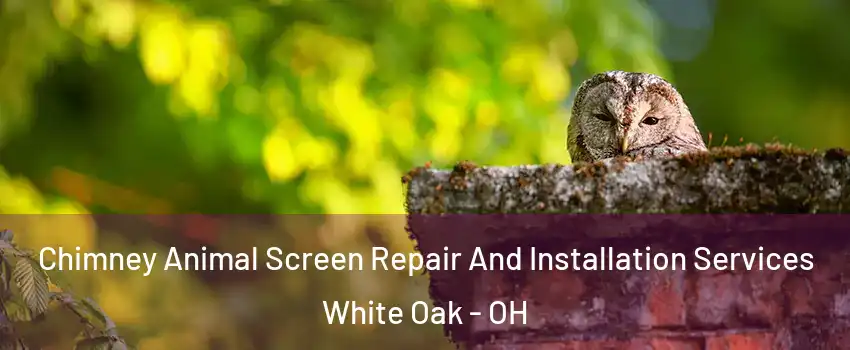  Chimney Animal Screen Repair And Installation Services White Oak - OH
