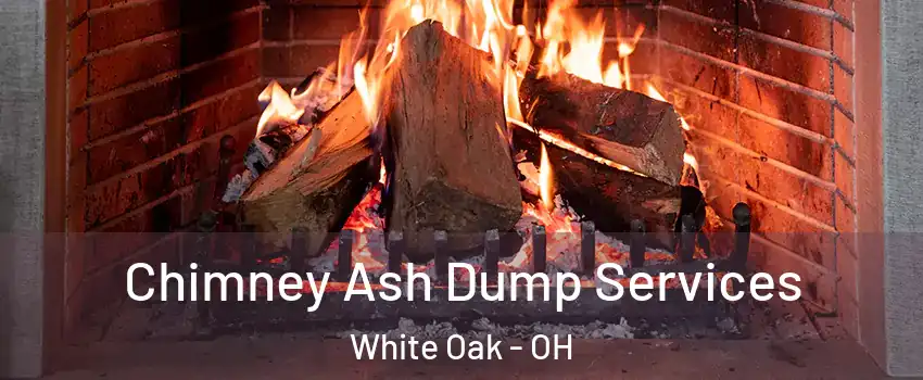  Chimney Ash Dump Services White Oak - OH