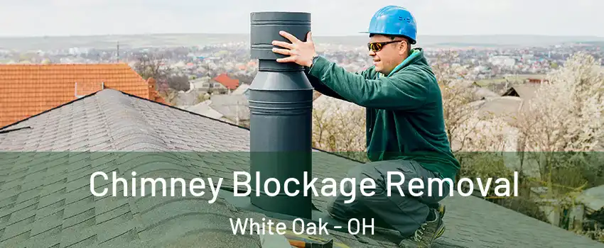  Chimney Blockage Removal White Oak - OH