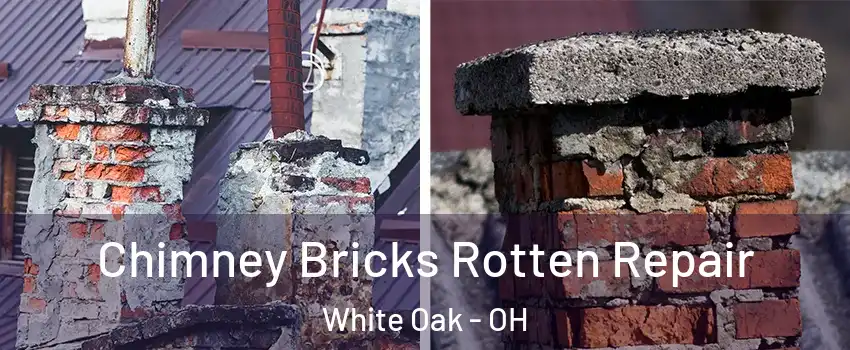  Chimney Bricks Rotten Repair White Oak - OH