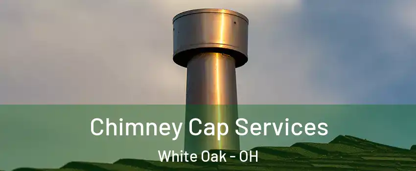  Chimney Cap Services White Oak - OH