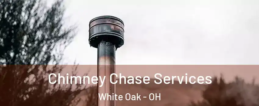  Chimney Chase Services White Oak - OH