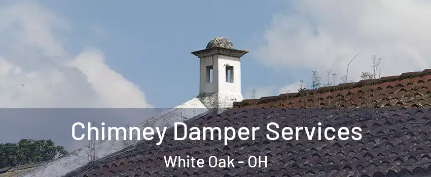  Chimney Damper Services White Oak - OH