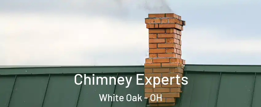  Chimney Experts White Oak - OH