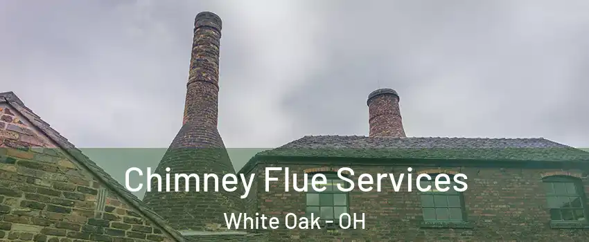  Chimney Flue Services White Oak - OH
