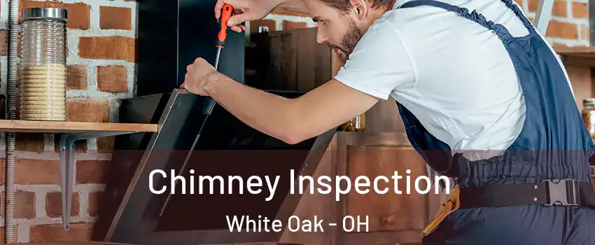  Chimney Inspection White Oak - OH