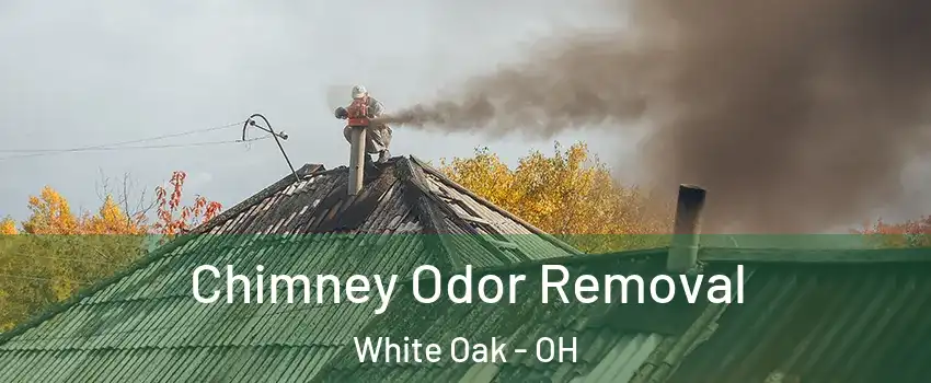  Chimney Odor Removal White Oak - OH