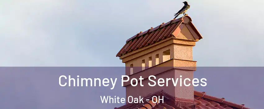  Chimney Pot Services White Oak - OH