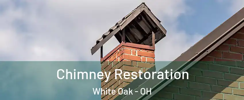  Chimney Restoration White Oak - OH