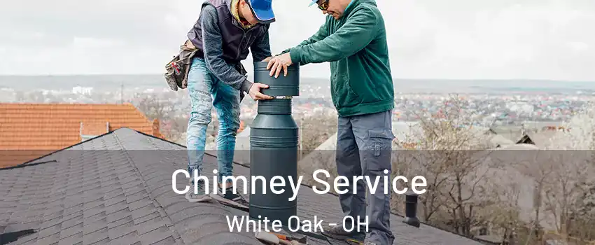  Chimney Service White Oak - OH