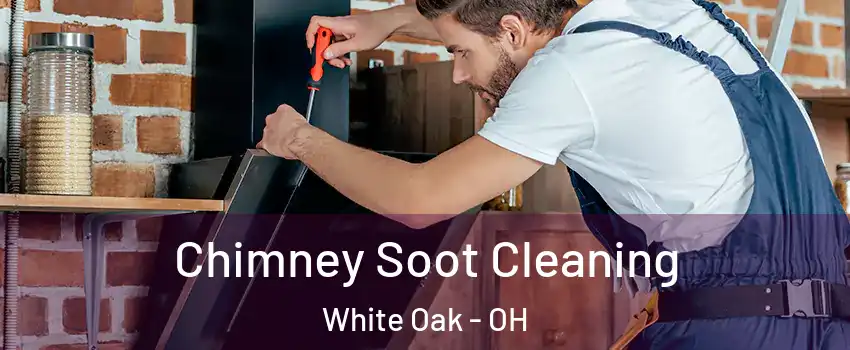  Chimney Soot Cleaning White Oak - OH