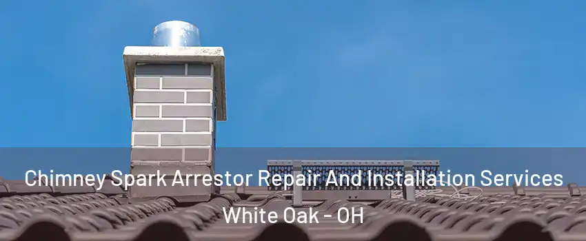 Chimney Spark Arrestor Repair And Installation Services White Oak - OH