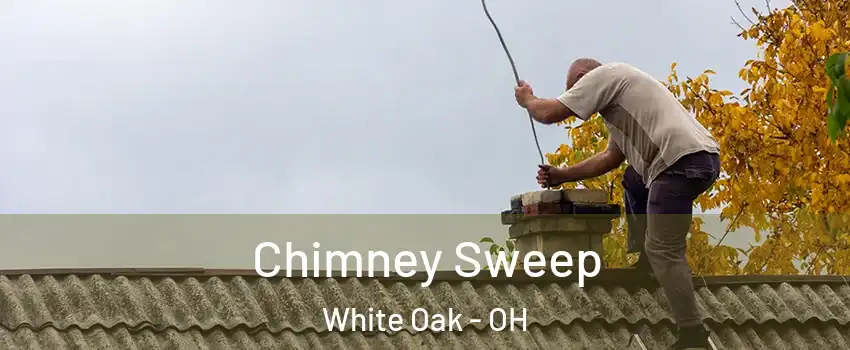  Chimney Sweep White Oak - OH