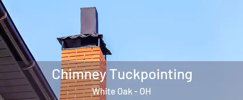  Chimney Tuckpointing White Oak - OH