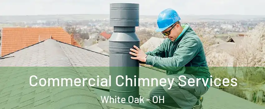  Commercial Chimney Services White Oak - OH