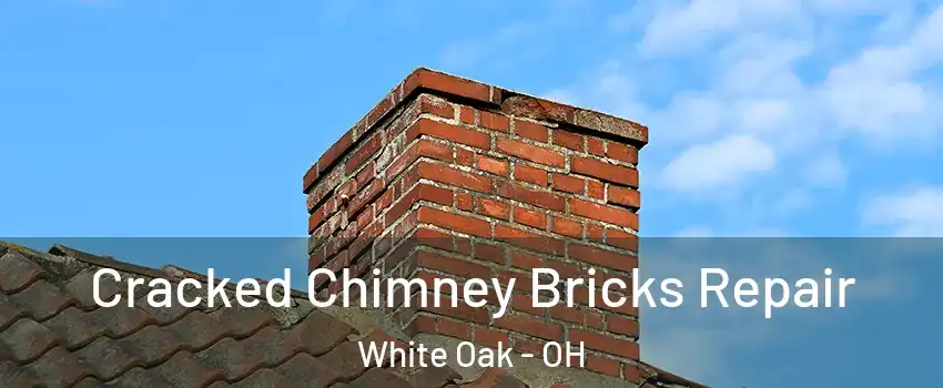  Cracked Chimney Bricks Repair White Oak - OH