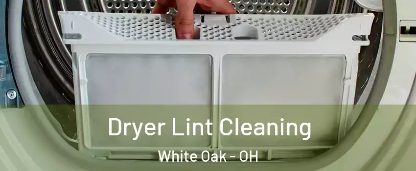  Dryer Lint Cleaning White Oak - OH
