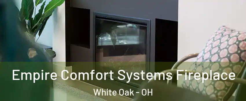  Empire Comfort Systems Fireplace White Oak - OH