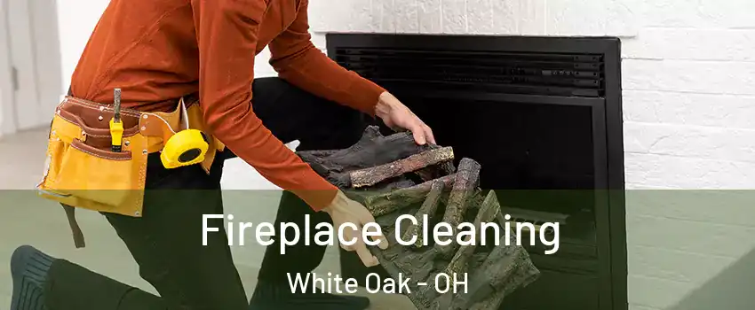  Fireplace Cleaning White Oak - OH