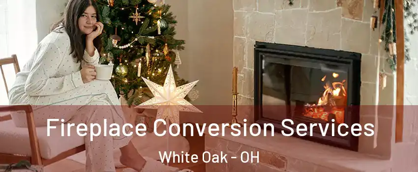  Fireplace Conversion Services White Oak - OH