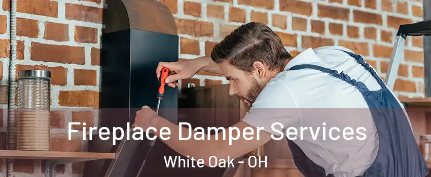  Fireplace Damper Services White Oak - OH