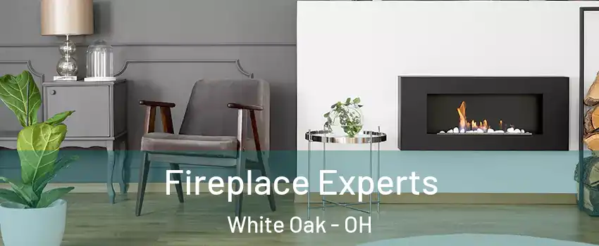  Fireplace Experts White Oak - OH
