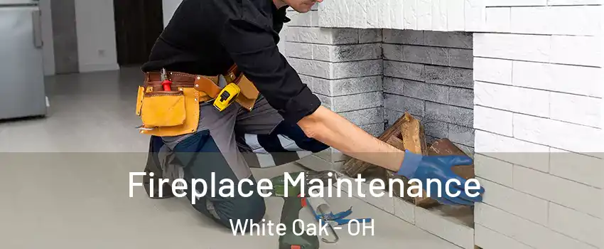  Fireplace Maintenance White Oak - OH