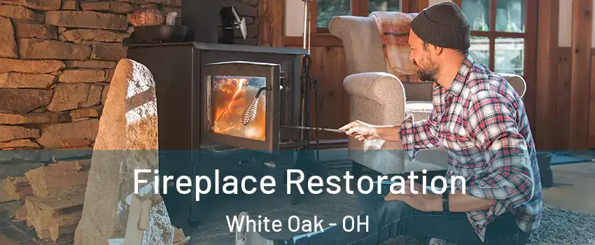  Fireplace Restoration White Oak - OH
