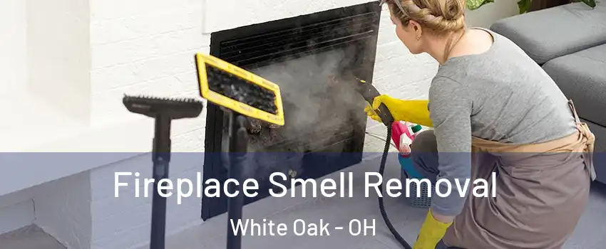  Fireplace Smell Removal White Oak - OH