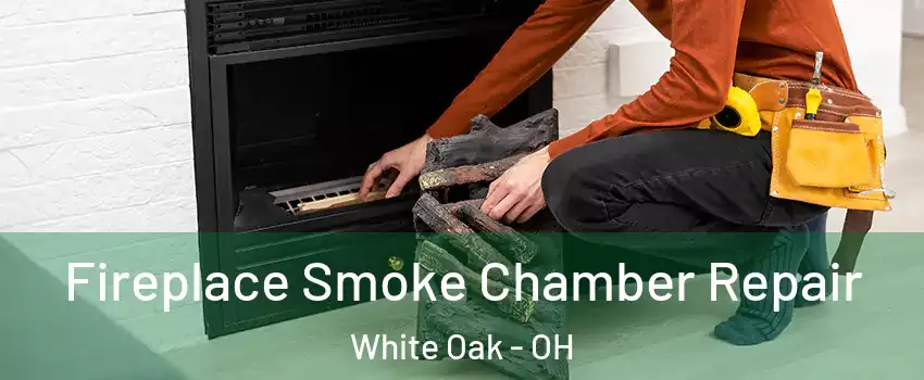  Fireplace Smoke Chamber Repair White Oak - OH