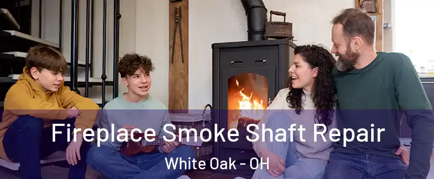  Fireplace Smoke Shaft Repair White Oak - OH
