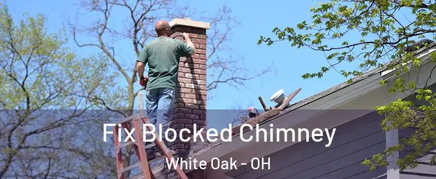  Fix Blocked Chimney White Oak - OH