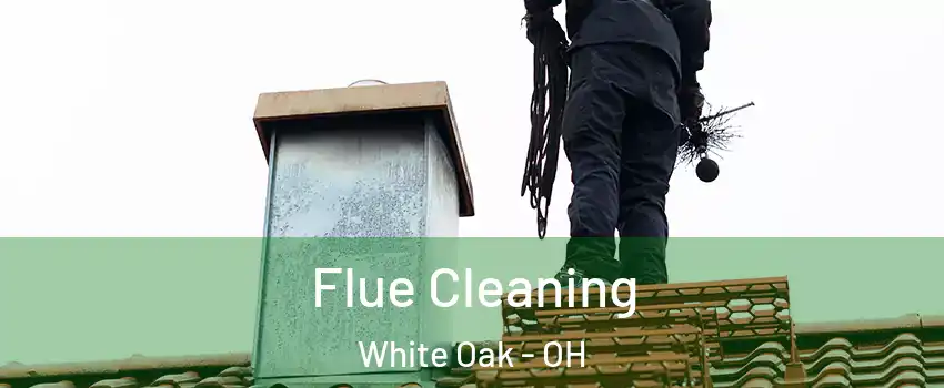  Flue Cleaning White Oak - OH
