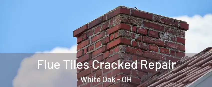  Flue Tiles Cracked Repair White Oak - OH