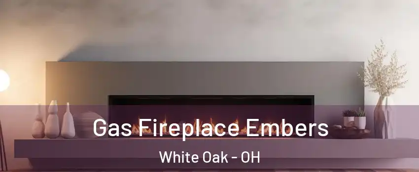  Gas Fireplace Embers White Oak - OH