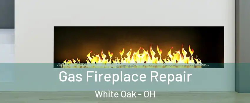  Gas Fireplace Repair White Oak - OH