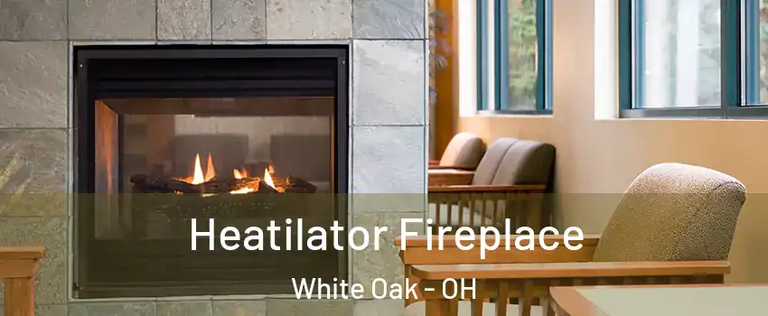  Heatilator Fireplace White Oak - OH