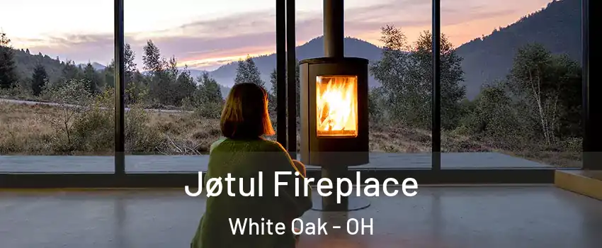  Jøtul Fireplace White Oak - OH