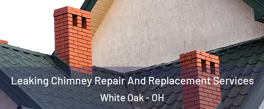 Leaking Chimney Repair And Replacement Services White Oak - OH