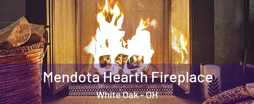  Mendota Hearth Fireplace White Oak - OH