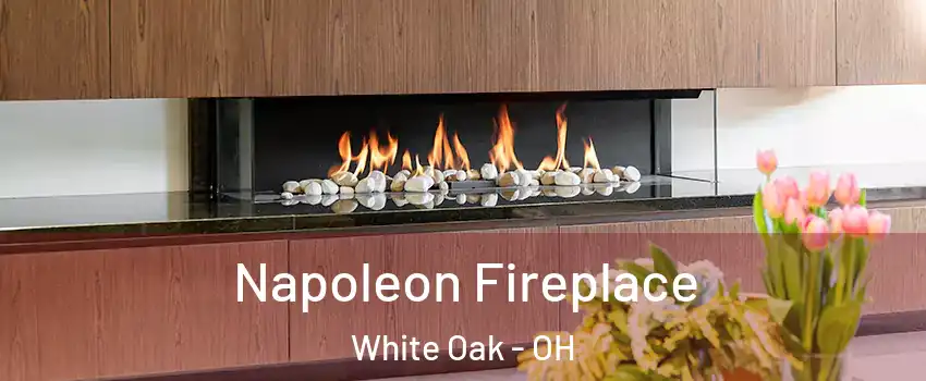  Napoleon Fireplace White Oak - OH