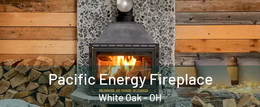  Pacific Energy Fireplace White Oak - OH