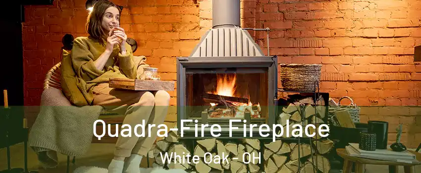 Quadra-Fire Fireplace White Oak - OH