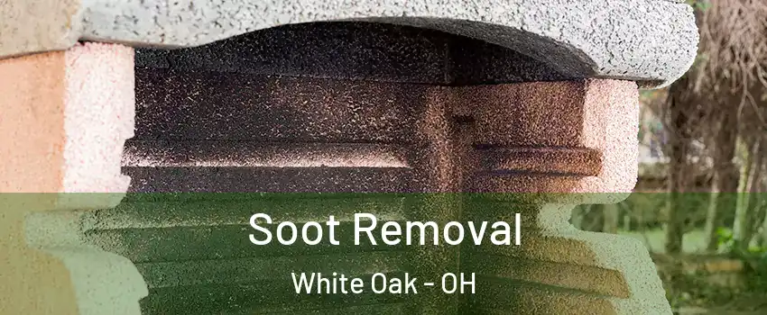  Soot Removal White Oak - OH